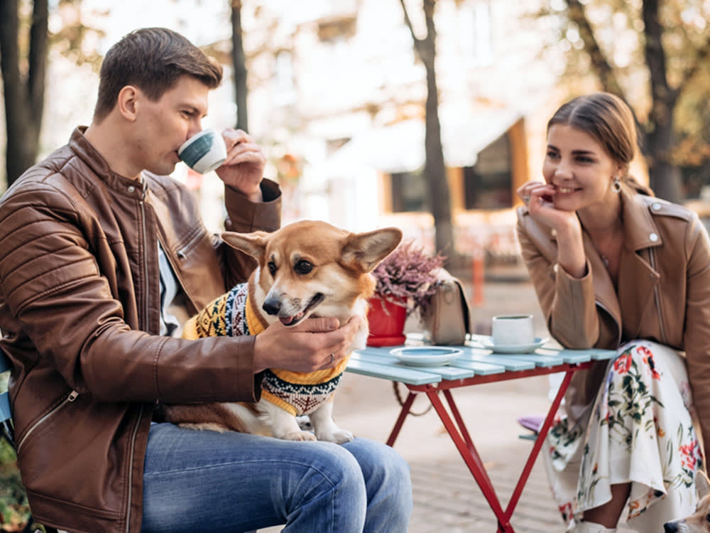 Bring the Dog: 11 NYC Date Spots Where Your Pup Is the Best Wingman