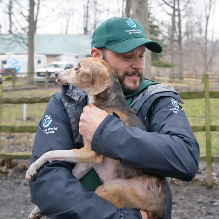 A Vet's License Was Supposed to Protect These 110 Animals. It Hid the Neglect