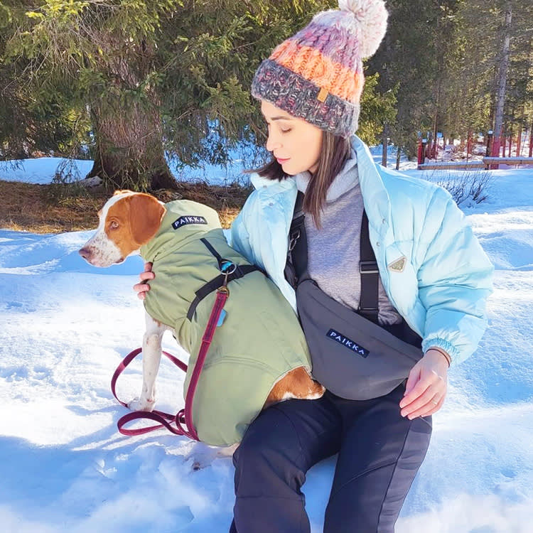 Does Your Dog Actually Need a Coat? A Buyer's Guide (Plus 12 We'd Buy)