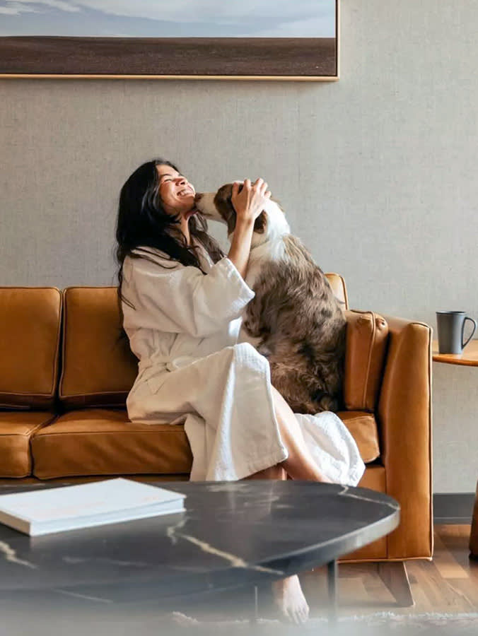 Dog-Friendly Colorado Hotels: Read the Pet Policy First (14 That Get It Right)