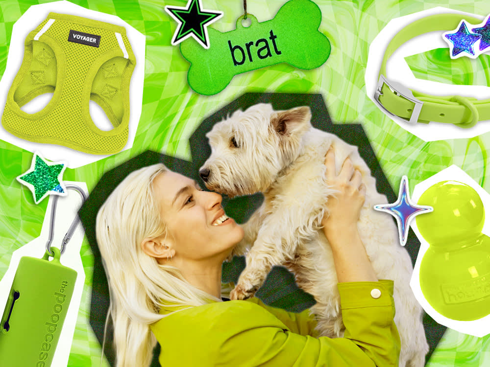 22 Lime-Green Pet Picks That Outlasted Brat Summer and Earn Their Spot