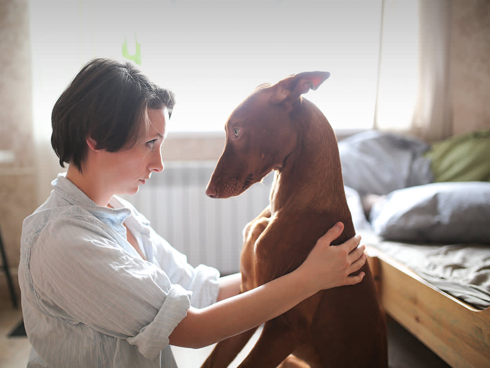 Your 'Dominant' Puppy Is Just a Teenager