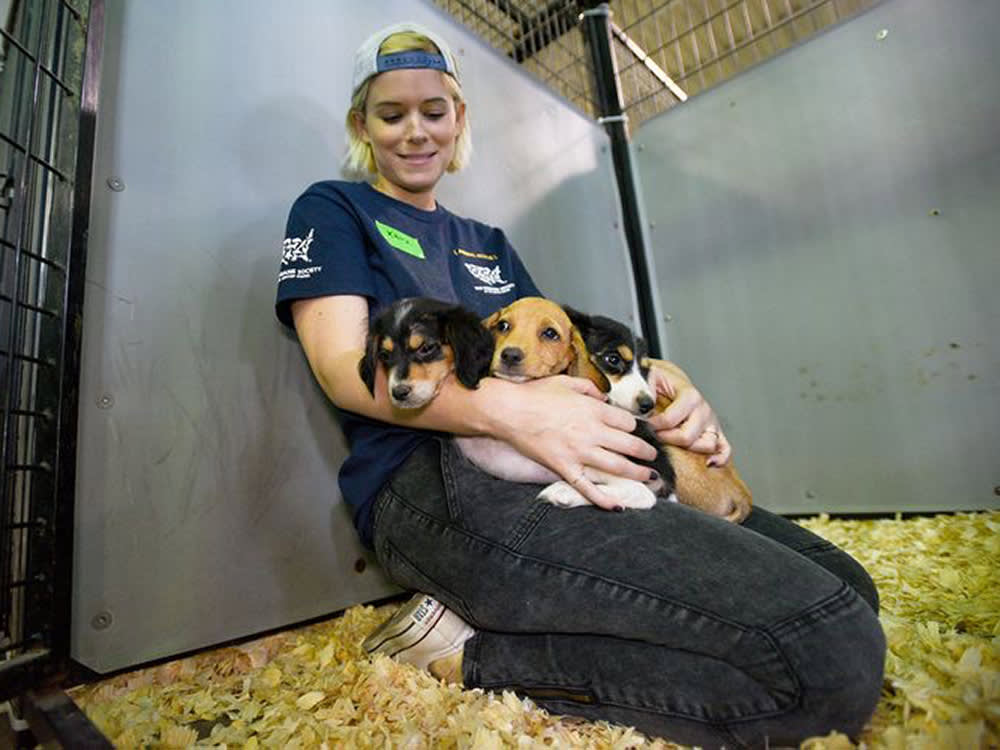 The Cheapest Way to Empty a Shelter Is the One Nobody Uses
