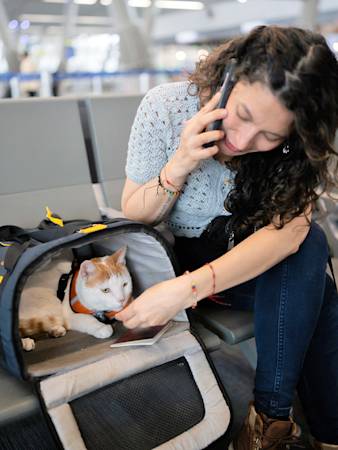 The Airline Picks Your Cat's Carrier, Not You. 8 That Make the Cut