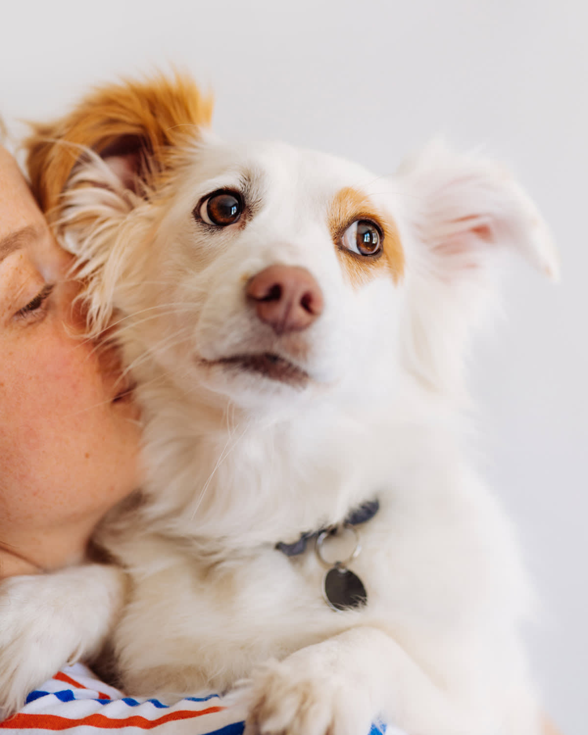 How to Say Sorry to Your Dog (Put the Tearful Hug Away)