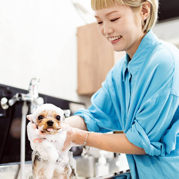 Baby Shampoo on a Dog: Fine for the Rescue Bath, Wrong for the Routine