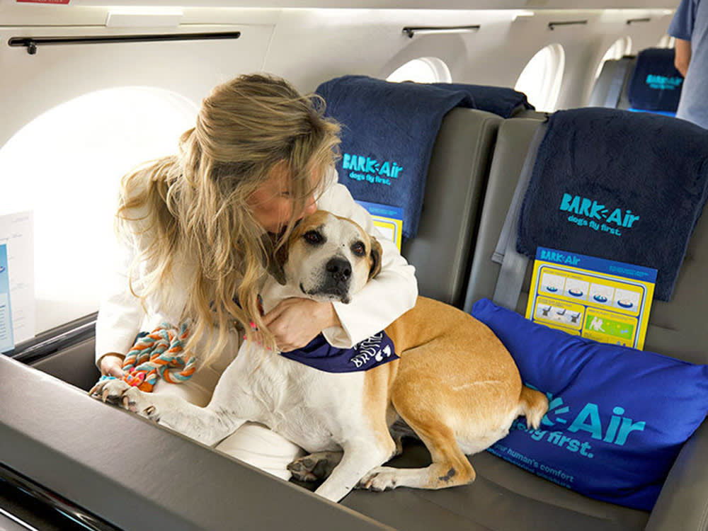 BARK Air Keeps Adding Routes. The More Interesting Story Is Who's Following