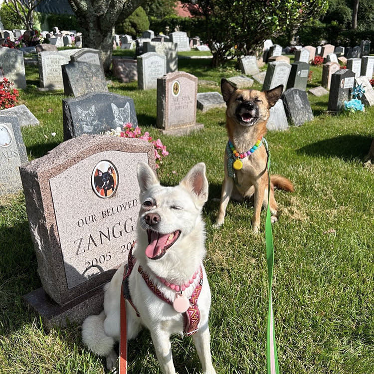 Less Than 1% of America's Cemeteries Are for Pets. These 6 Are Worth the Trip.