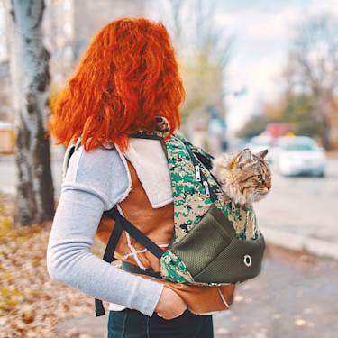 The Cat Sling Is the Carrier for Cats Who Hate Carriers