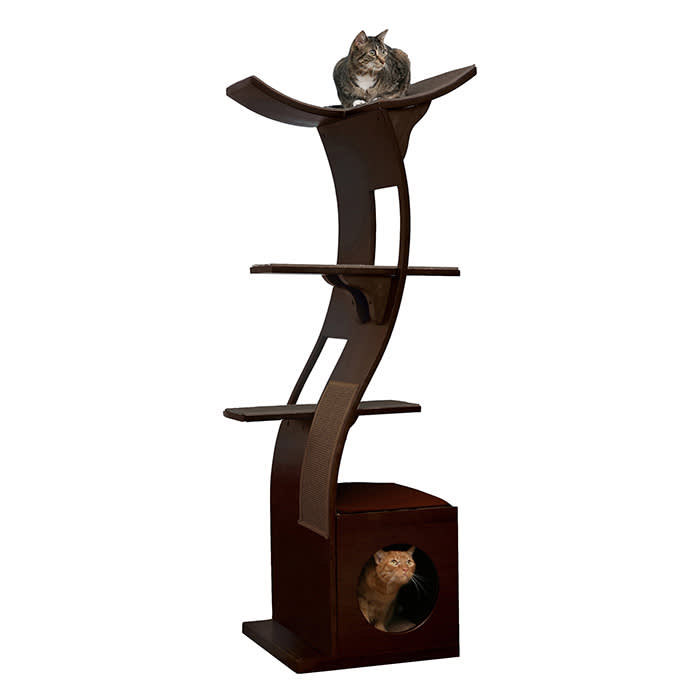 Refined Feline Metropolitan 62-Inch