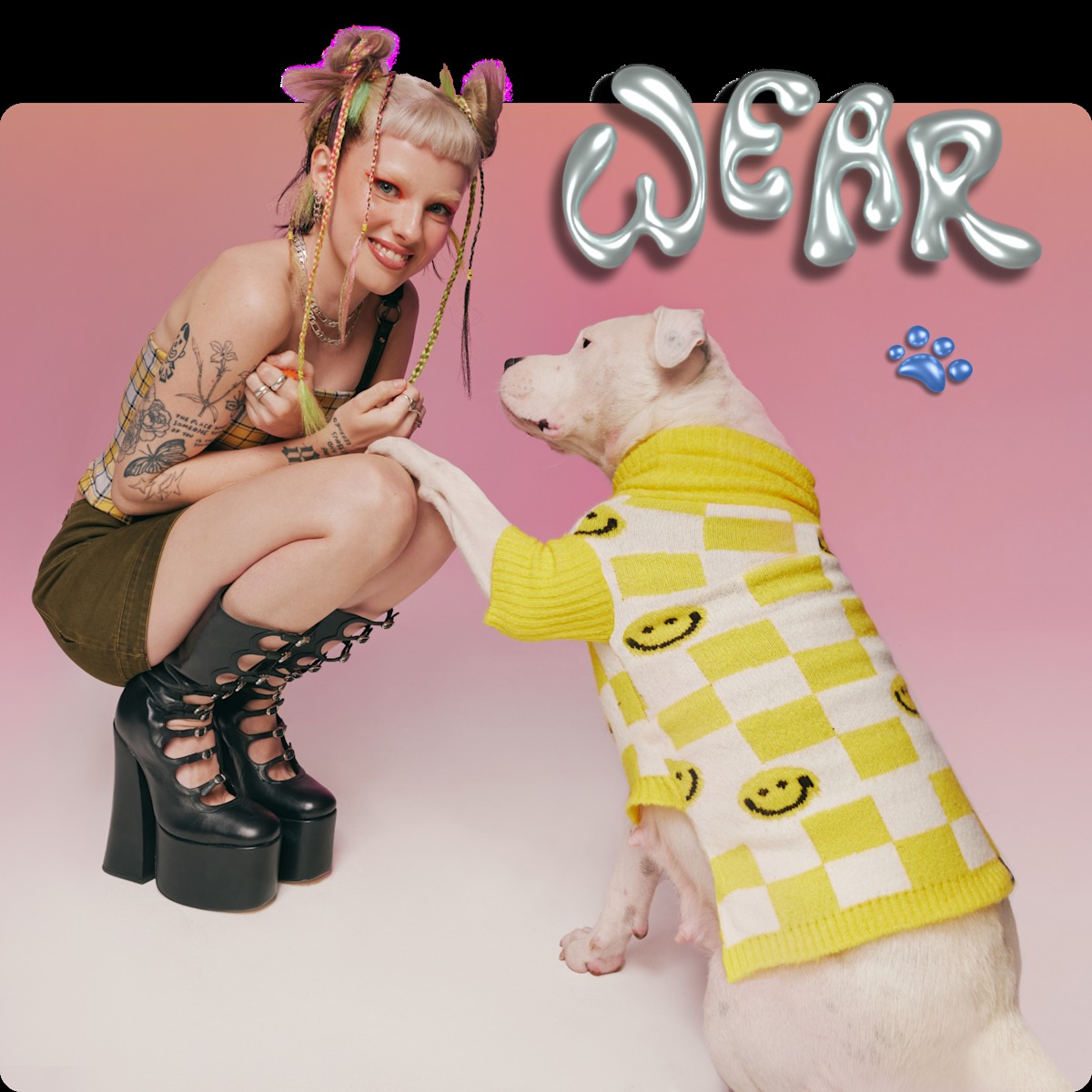 Warmth, Safety, or Just Style? The Pet Coats Worth It, Sorted by What They Do