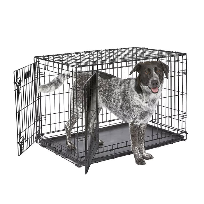 Carry-Capacity Built Right