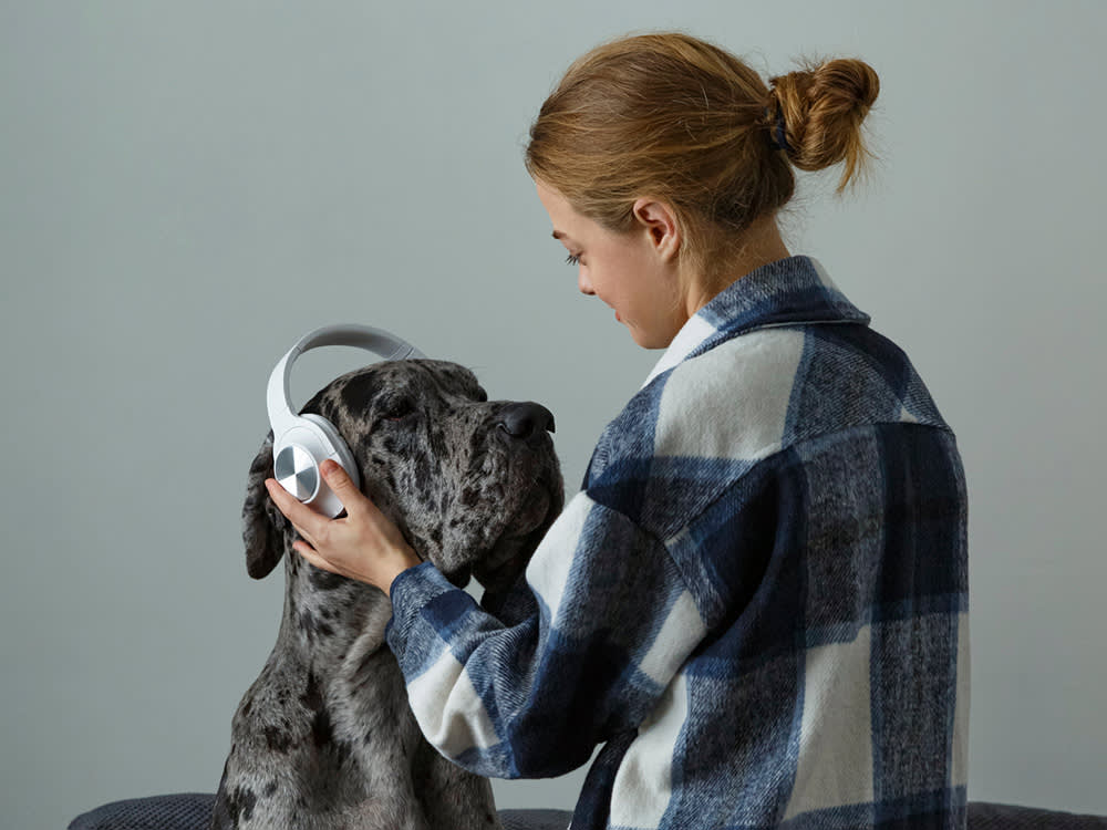 Dog Ear Muffs for Fireworks: What They Actually Do, and the 6 Worth Buying