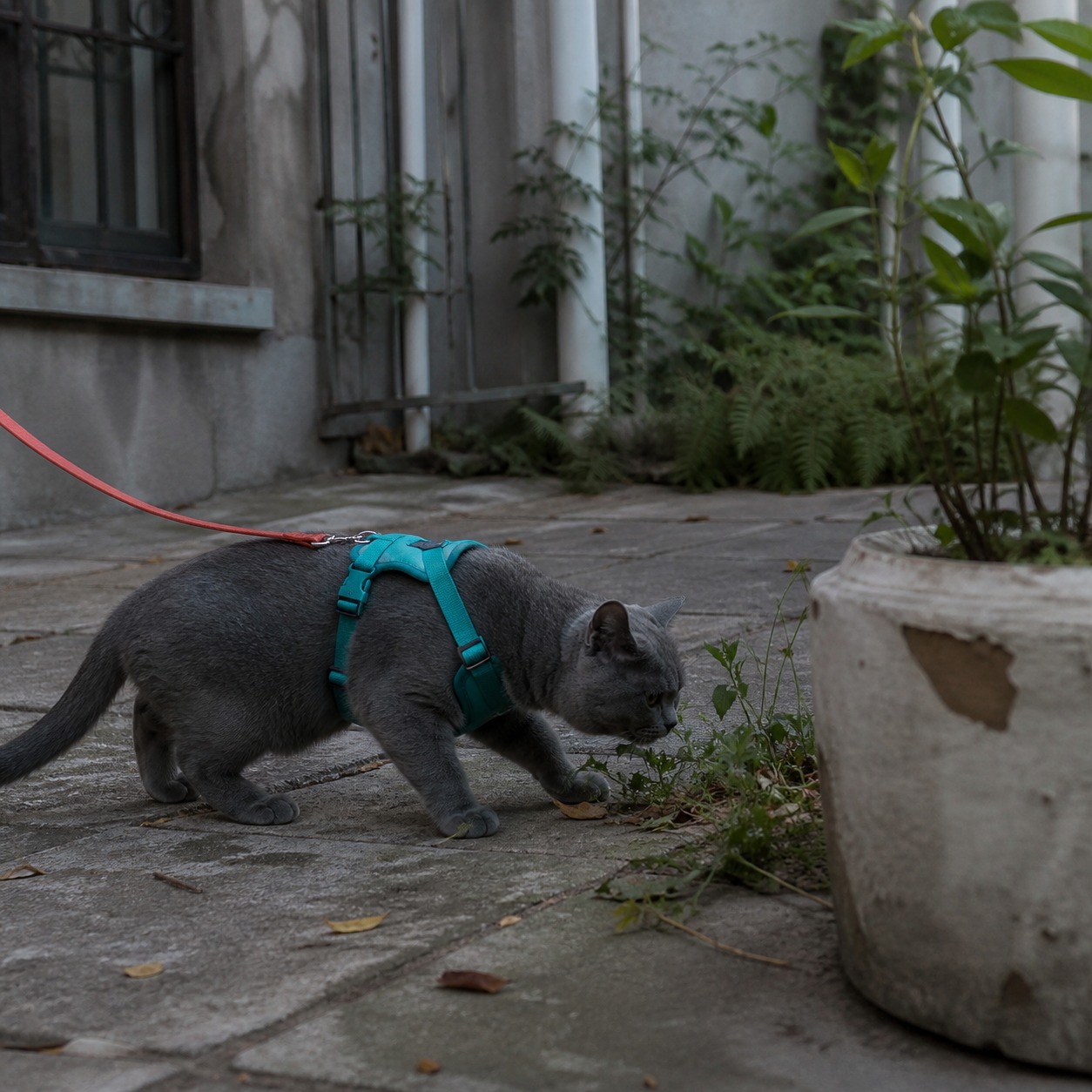 The Walk Fails at the Neck and the Pavement: Walking Gear Ranked by Safety