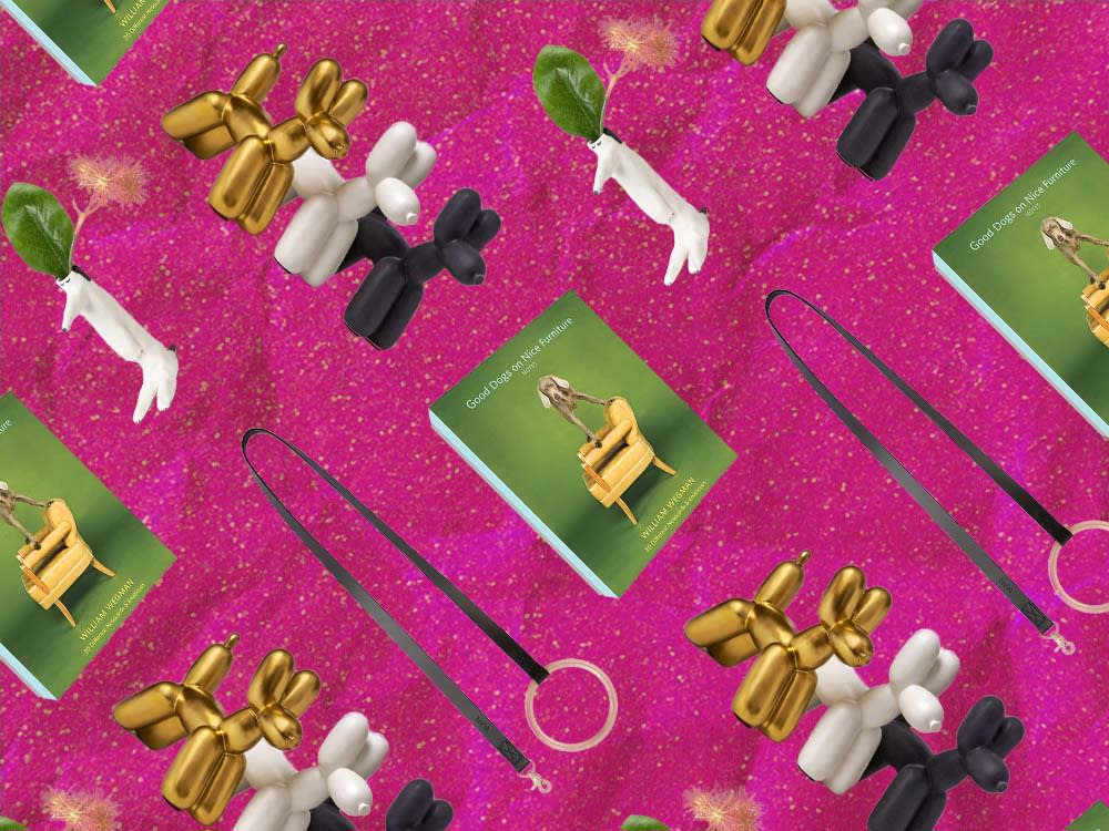 Gifts for the Dog Person Who Spends It All on the Dog