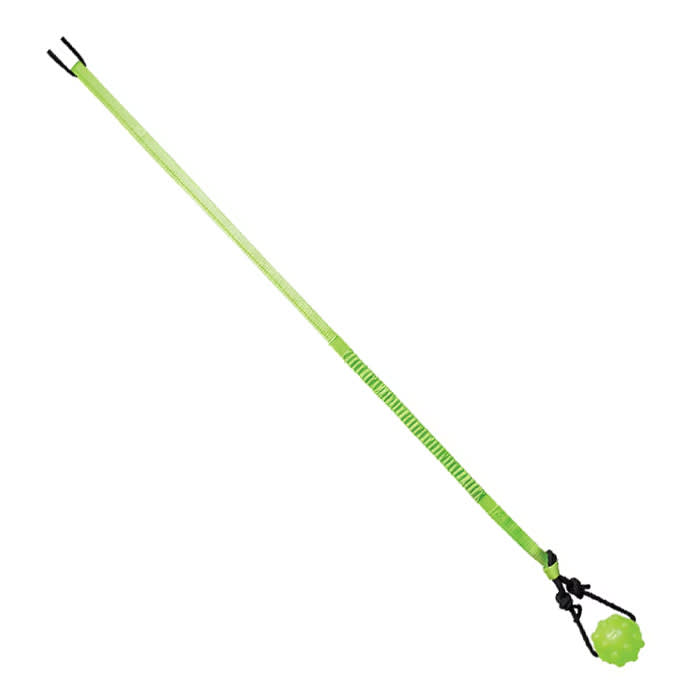 Jolly Pets Tree Tugger