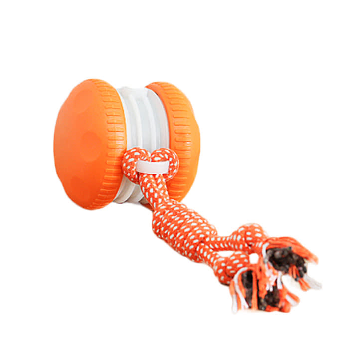 QGI Random Path Electric Rolling Dog Toy