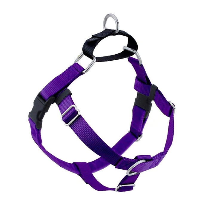 2 Hounds Design Freedom No-Pull Harness