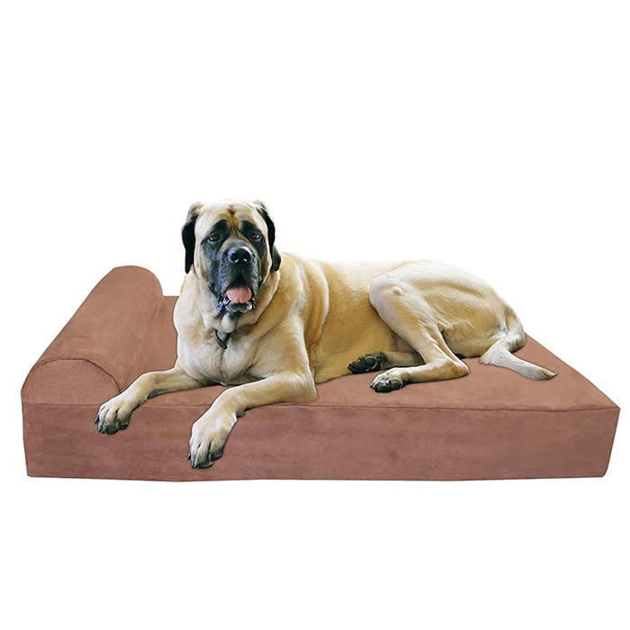 Big Barker Pillow Top
