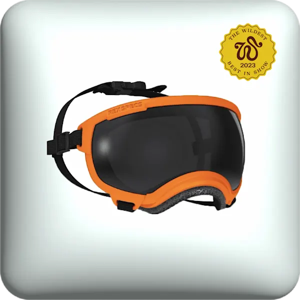 Best Dog Goggles