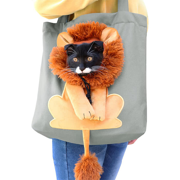 Best Dog Tote