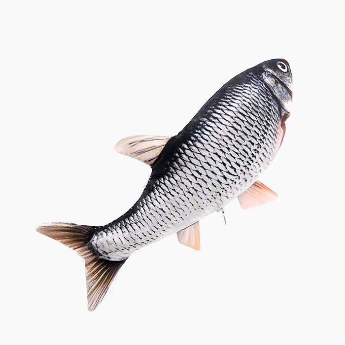 Best Flopping Fish Toy for Cats