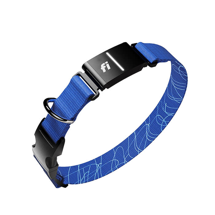 Best Pet Health Tracker and GPS (post-Whistle)