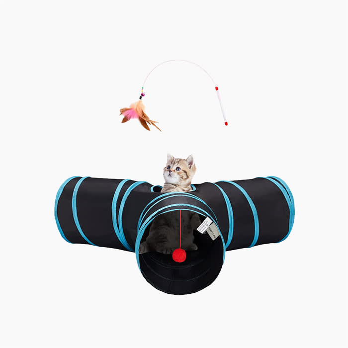 Burrow, Tunnel, and Privacy Toys