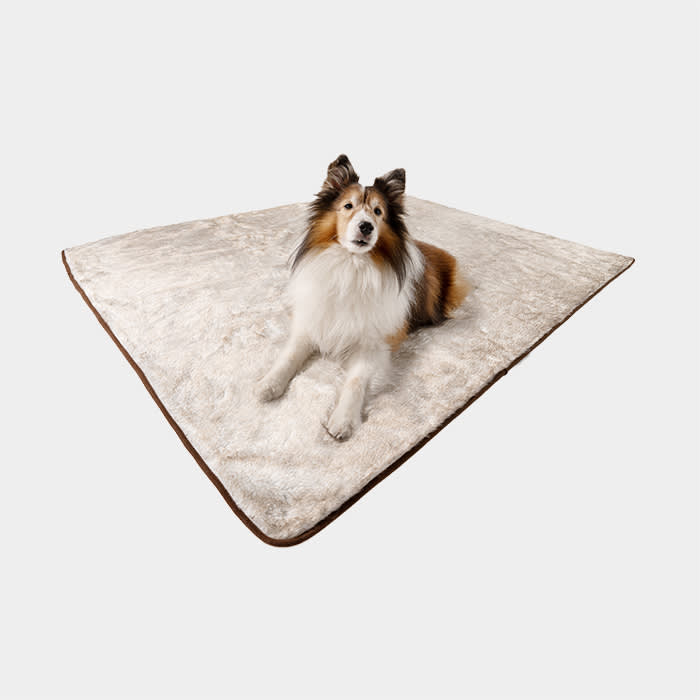 Comfort, Plush, and Settle Toys