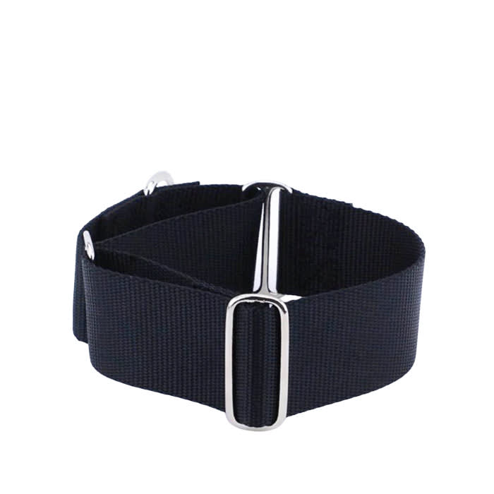 PetSafe Nylon Leash