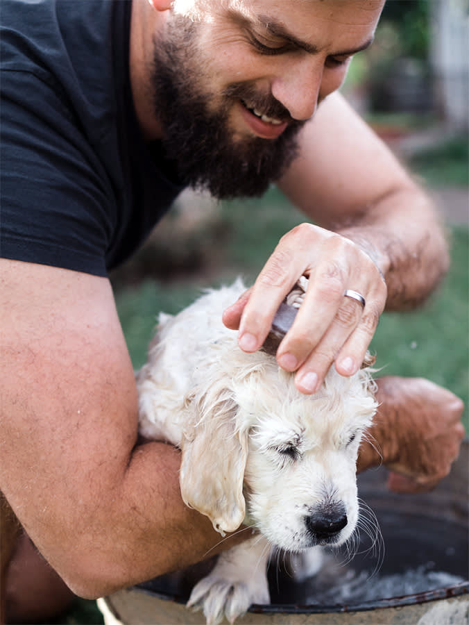 The Puppy Shampoo Paradox: "Gentle" and "Scented" Don't Belong on One Bottle