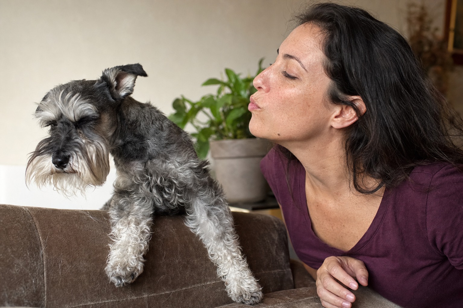 That Playful Puff of Air in Your Dog's Face? They Read It as a Threat.