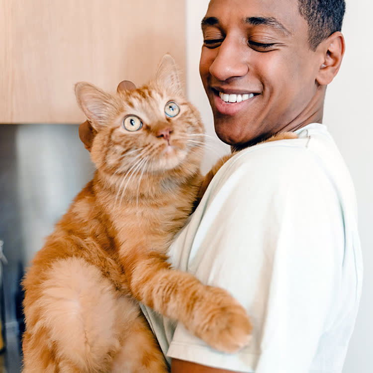 Bonding With a Cat Is Subtraction, Not Addition