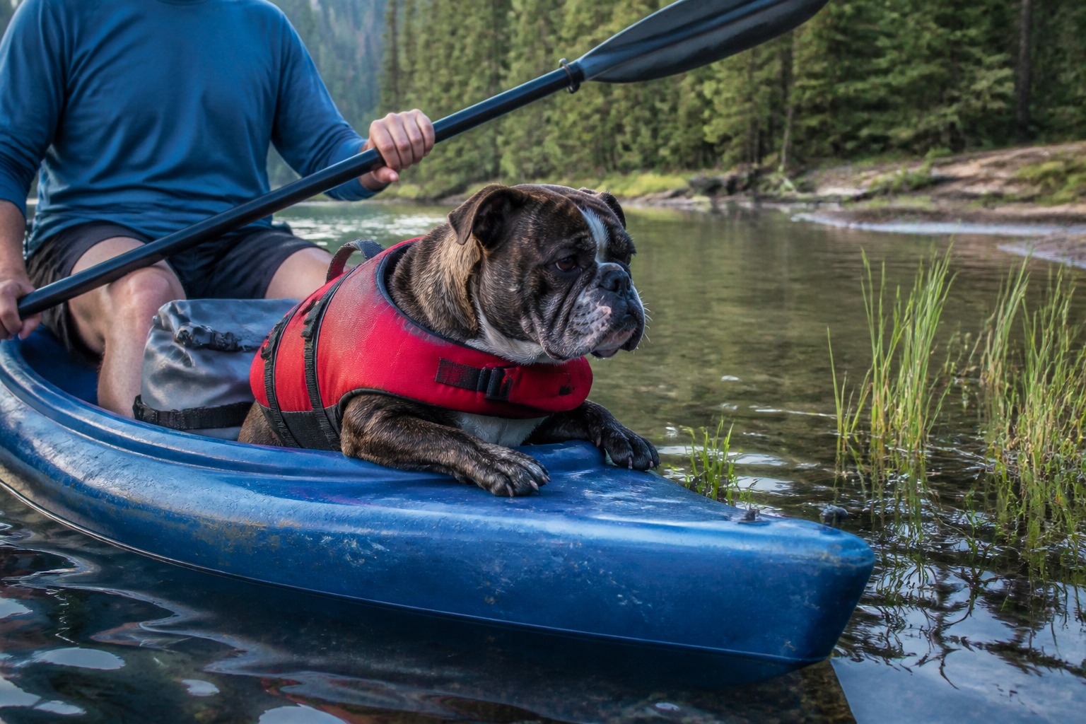 A Nightlife Guy, a Stubby Bulldog Mix, and 7-Minute Trail Miles