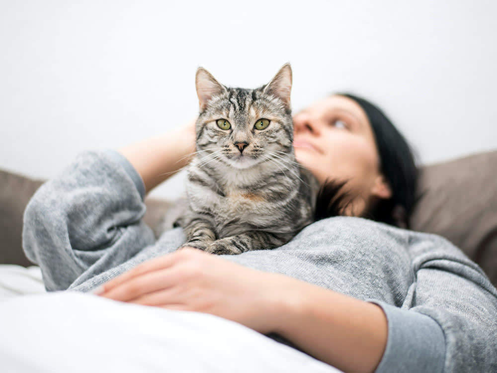 Your Cat Can Tell You're Sick. Empathy Has Little to Do With It.