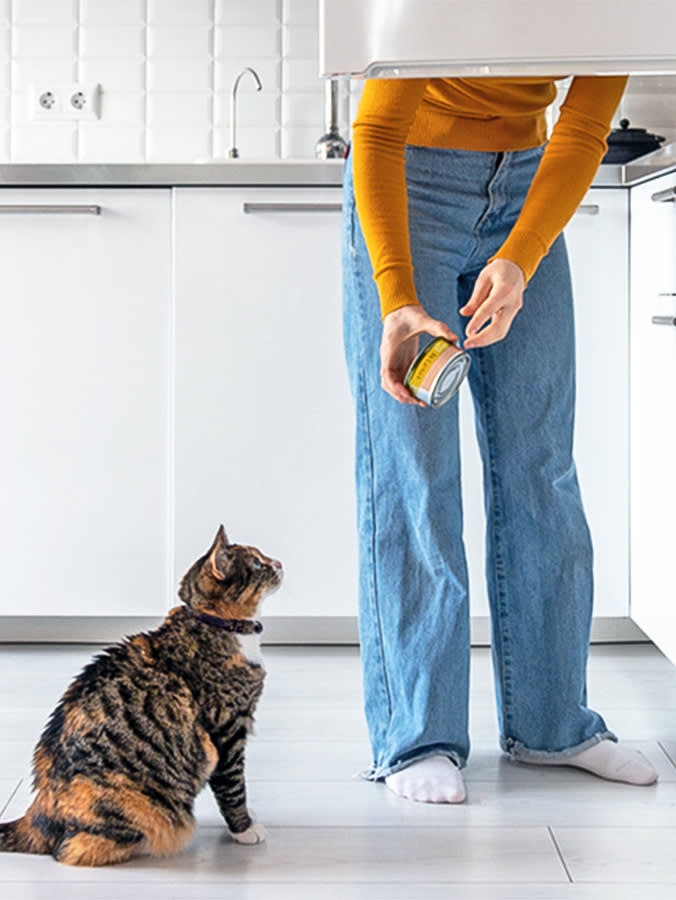 The Tuna Recall Your Cat's Snack Habit Just Made Personal