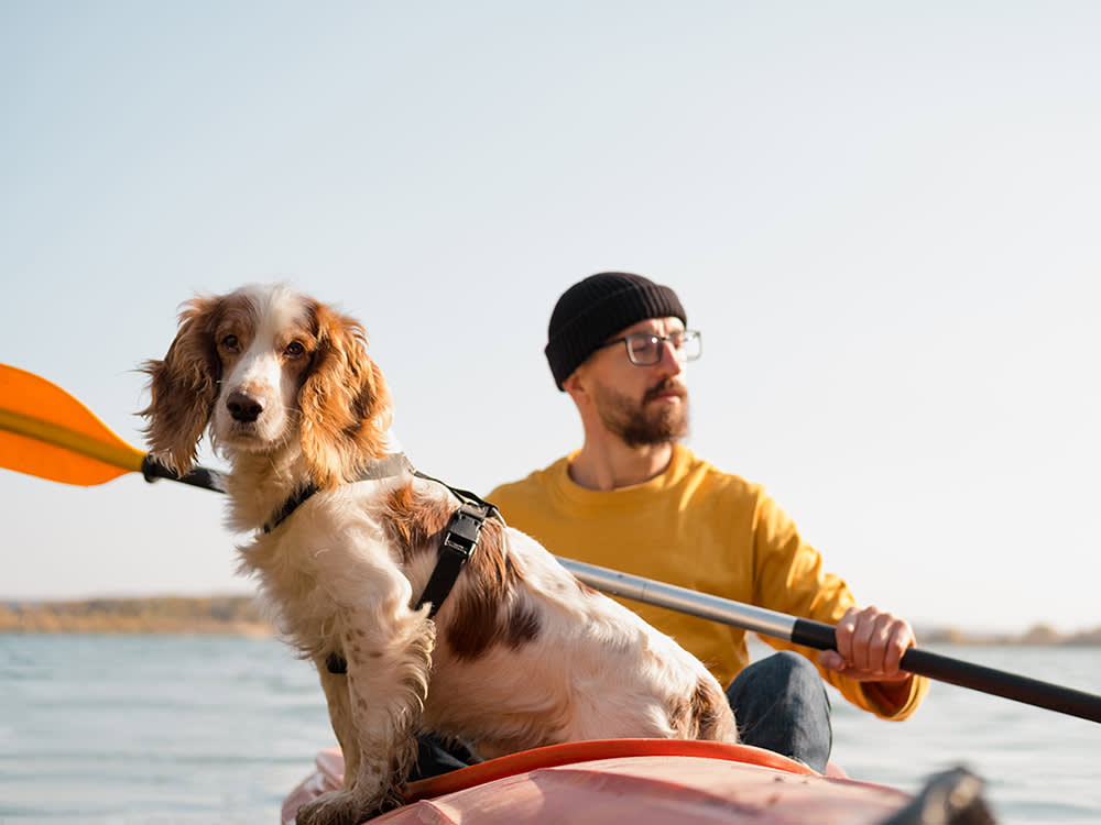 Your Dog's Canoe Problem Isn't the Water. It's the Boredom.