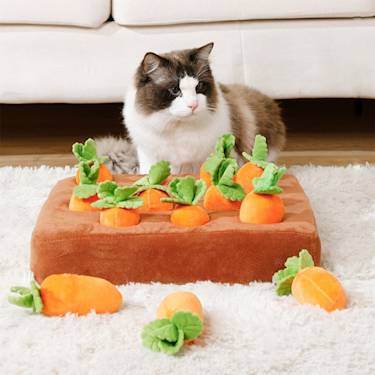 Where the Carrot Farm fits