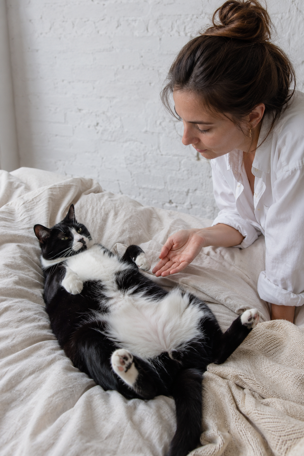 The Belly Rub Trap: That Exposed Tummy Isn't an Invitation
