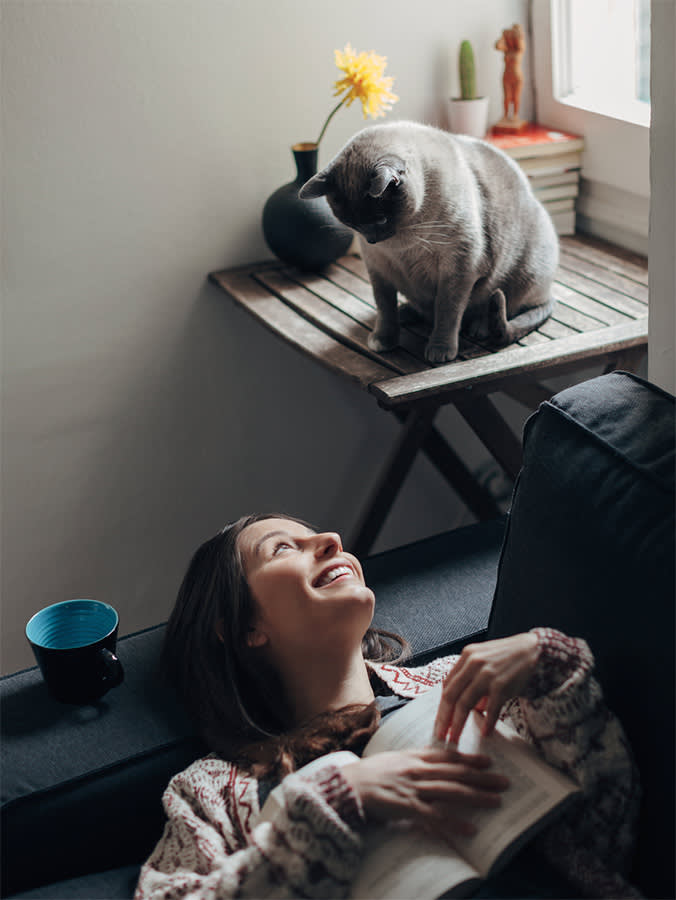 Cat Behavior Has a Photo Problem. Someone Finally Drew Their Way Out of It.