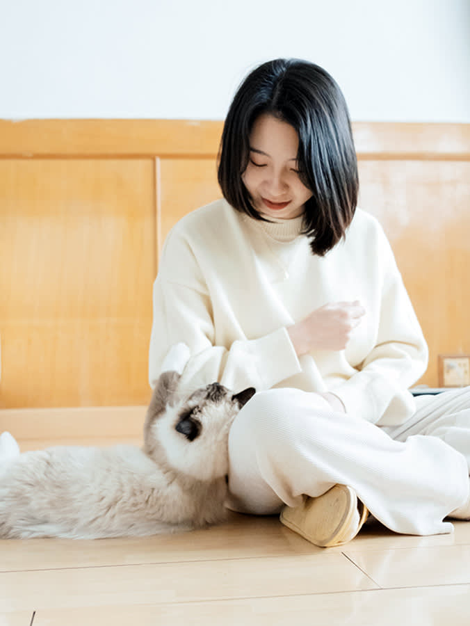 Your Cat Has Been Asking for the Same 7 Things. You Keep Hearing 'More Cuddles.'