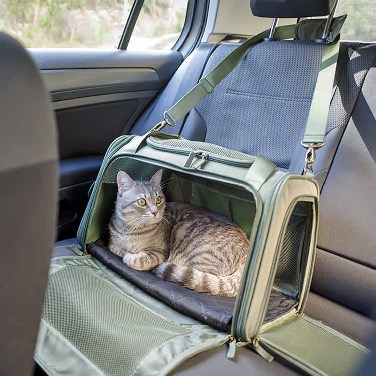 In a Crash, a Loose Carrier Is a Projectile. 9 Cat Car Carriers That Anchor In