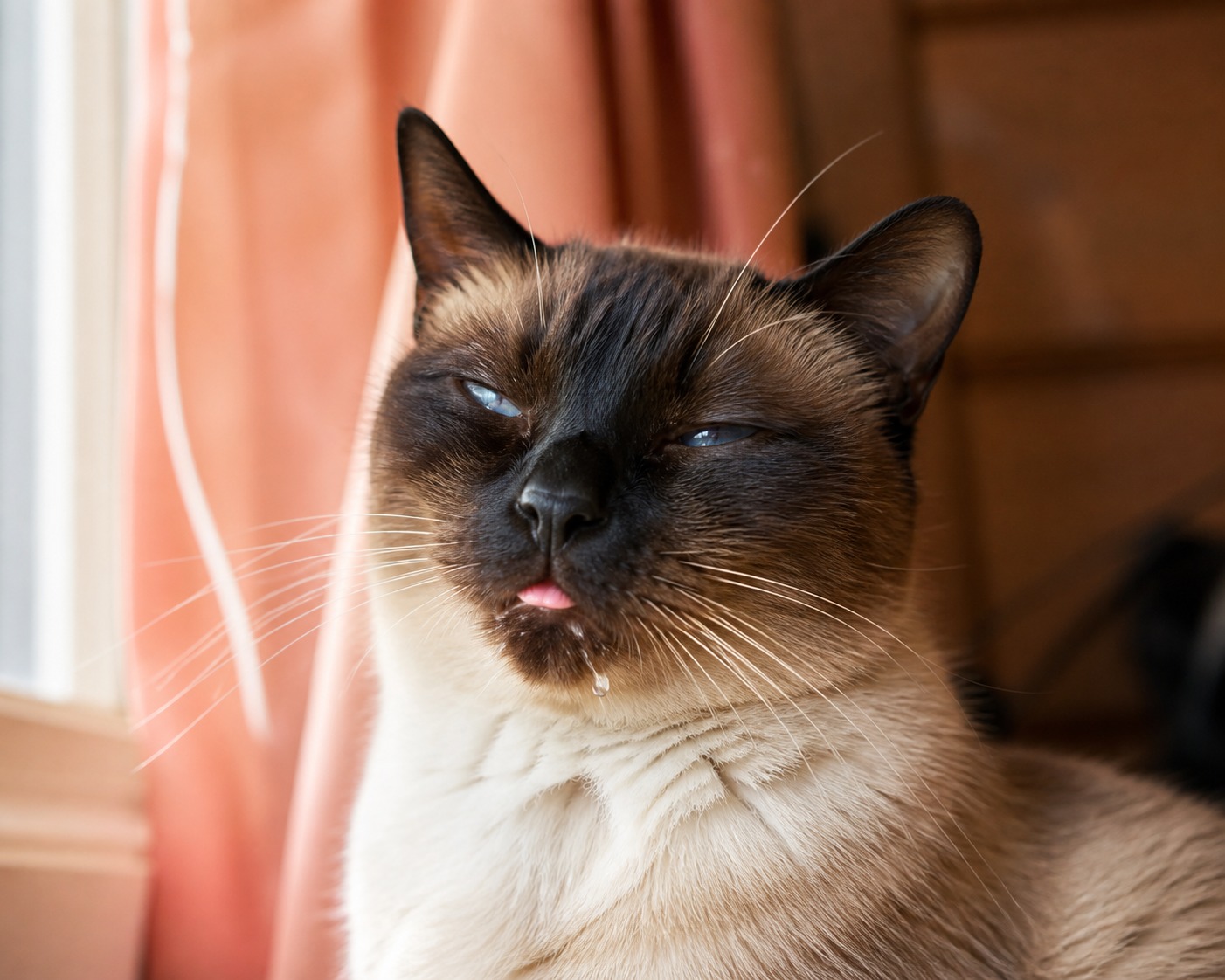 Cat Drooling: The One Question That Tells You Whether to Worry