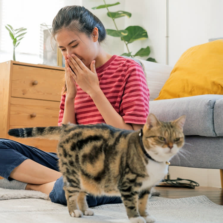 If You Can Smell Your Cat's Fart, Your Cat Is Telling You Something