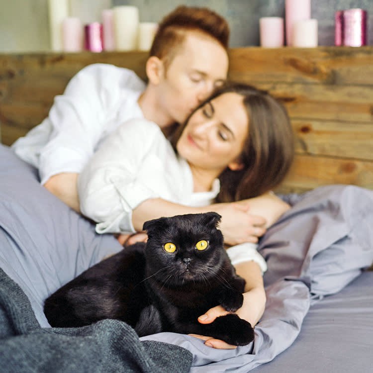 Your Cat Isn't Jealous of Your Sex Life. It's Mad About the Door.
