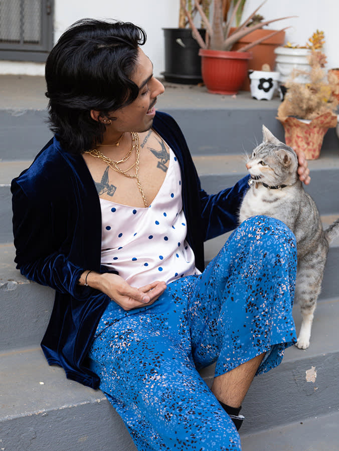 Your Cat's Lifespan Isn't Fixed. Here's What Moves It.