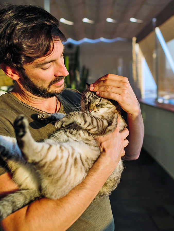 Your Cat Hasn't Pooped in Days. Here's the Line Between 'Wait' and 'Vet Now'