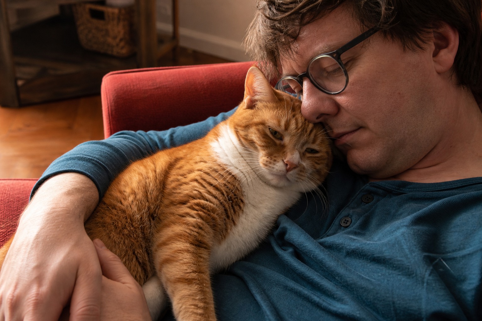 Your Cat Knows Your Smell From a Stranger's, Science Confirms