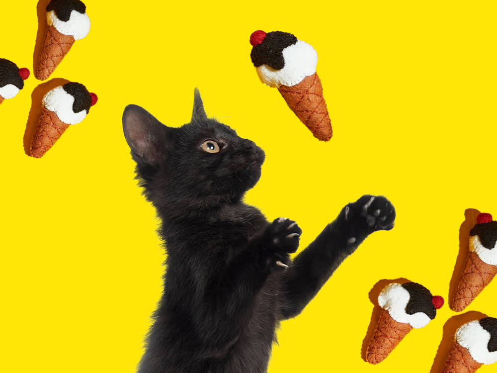 The Best Cat Toy Is the One You Don't Hide in a Basket