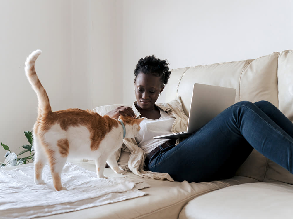 Your Cat Knows When You're Watching. A Study Proved It